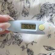 ヒメ日記 2025/07/24 12:57 投稿 レイカ(奥方) 奥様幕府