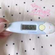 ヒメ日記 2025/08/21 14:47 投稿 レイカ(奥方) 奥様幕府