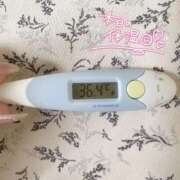 ヒメ日記 2025/08/24 11:57 投稿 レイカ(奥方) 奥様幕府