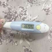 ヒメ日記 2025/09/22 14:27 投稿 レイカ(奥方) 奥様幕府