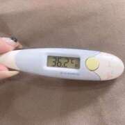 ヒメ日記 2025/10/19 12:27 投稿 レイカ(奥方) 奥様幕府