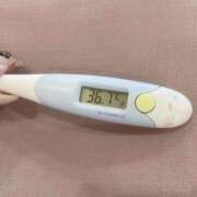 ヒメ日記 2025/10/24 11:17 投稿 レイカ(奥方) 奥様幕府