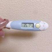 ヒメ日記 2025/11/17 13:47 投稿 レイカ(奥方) 奥様幕府