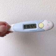 ヒメ日記 2025/11/18 13:40 投稿 レイカ(奥方) 奥様幕府