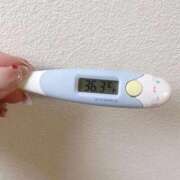 ヒメ日記 2025/11/21 14:17 投稿 レイカ(奥方) 奥様幕府