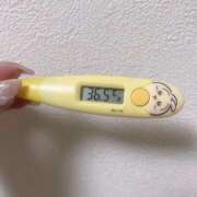 ヒメ日記 2025/12/16 13:07 投稿 レイカ(奥方) 奥様幕府