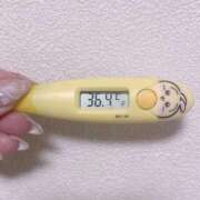 ヒメ日記 2025/12/20 11:47 投稿 レイカ(奥方) 奥様幕府