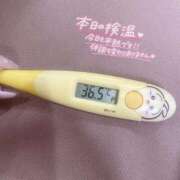 ヒメ日記 2026/01/18 12:57 投稿 レイカ(奥方) 奥様幕府