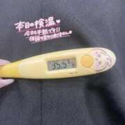 ヒメ日記 2026/01/19 14:37 投稿 レイカ(奥方) 奥様幕府