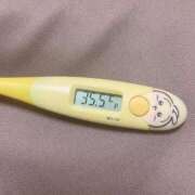 ヒメ日記 2026/02/13 13:37 投稿 レイカ(奥方) 奥様幕府