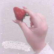 ヒメ日記 2026/02/17 05:57 投稿 レイカ(奥方) 奥様幕府