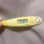 ヒメ日記 2026/03/14 12:07 投稿 レイカ(奥方) 奥様幕府