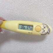 ヒメ日記 2026/03/17 12:47 投稿 レイカ(奥方) 奥様幕府