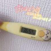 ヒメ日記 2026/04/14 13:37 投稿 レイカ(奥方) 奥様幕府