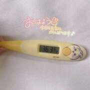 ヒメ日記 2026/04/15 13:17 投稿 レイカ(奥方) 奥様幕府