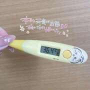 ヒメ日記 2026/04/16 13:37 投稿 レイカ(奥方) 奥様幕府