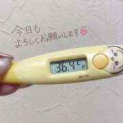 ヒメ日記 2026/09/23 15:10 投稿 レイカ(奥方) 奥様幕府