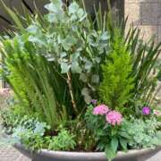 ヒメ日記 2026/06/10 19:49 投稿 東京ハラダ 大阪★出張マッサージ委員会