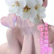 ヒメ日記 2024/12/13 23:08 投稿 天音 マドンナSANSAIN