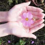 ヒメ日記 2024/12/23 09:48 投稿 天音 マドンナSANSAIN