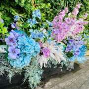 ヒメ日記 2025/02/28 13:18 投稿 天音 マドンナSANSAIN