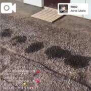 ヒメ日記 2026/01/17 17:38 投稿 天音 マドンナSANSAIN