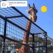 ヒメ日記 2026/01/25 21:58 投稿 天音 マドンナSANSAIN