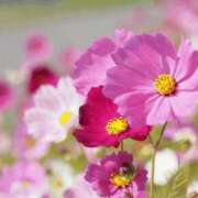 ヒメ日記 2026/03/05 22:18 投稿 天音 マドンナSANSAIN