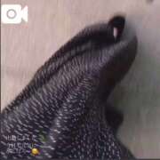 天音 退勤🌷 マドンナSANSAIN