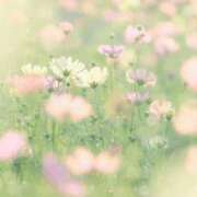 ヒメ日記 2026/06/01 21:58 投稿 天音 マドンナSANSAIN