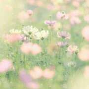 ヒメ日記 2026/06/01 22:00 投稿 天音 マドンナSANSAIN