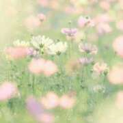 ヒメ日記 2026/06/12 10:18 投稿 天音 マドンナSANSAIN