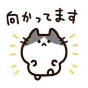 ヒメ日記 2025/05/16 06:48 投稿 つむぎ ワンダフル