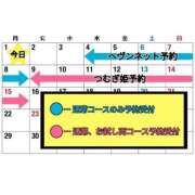 ヒメ日記 2025/08/30 15:10 投稿 つむぎ ワンダフル