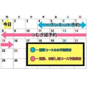 ヒメ日記 2025/09/01 14:18 投稿 つむぎ ワンダフル