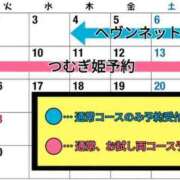 ヒメ日記 2025/11/12 19:48 投稿 つむぎ ワンダフル