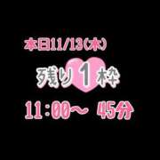 ヒメ日記 2025/11/13 08:44 投稿 つむぎ ワンダフル
