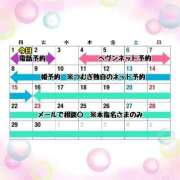 ヒメ日記 2025/12/31 21:48 投稿 つむぎ ワンダフル