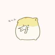 つむぎ 1/15🙇‍♀️お休みのお知らせ ワンダフル