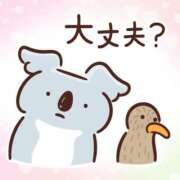 ヒメ日記 2026/01/20 11:58 投稿 つむぎ ワンダフル