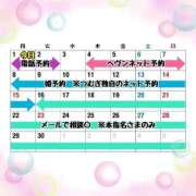 ヒメ日記 2026/01/31 06:58 投稿 つむぎ ワンダフル