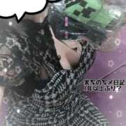 ヒメ日記 2026/02/01 14:28 投稿 つむぎ ワンダフル