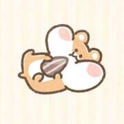 ヒメ日記 2026/02/07 06:48 投稿 つむぎ ワンダフル