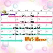 ヒメ日記 2026/02/12 06:18 投稿 つむぎ ワンダフル