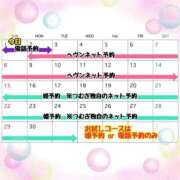 ヒメ日記 2026/03/03 06:38 投稿 つむぎ ワンダフル