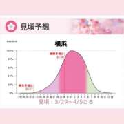 ヒメ日記 2026/03/19 17:48 投稿 つむぎ ワンダフル