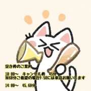ヒメ日記 2026/05/17 08:48 投稿 つむぎ ワンダフル