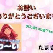 ヒメ日記 2024/12/17 12:49 投稿 たまき ぽっちゃりデリヘル倶楽部