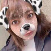 ヒメ日記 2024/12/17 13:59 投稿 たまき ぽっちゃりデリヘル倶楽部