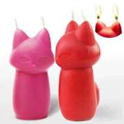 ヒメ日記 2025/02/24 12:39 投稿 たまき ぽっちゃりデリヘル倶楽部